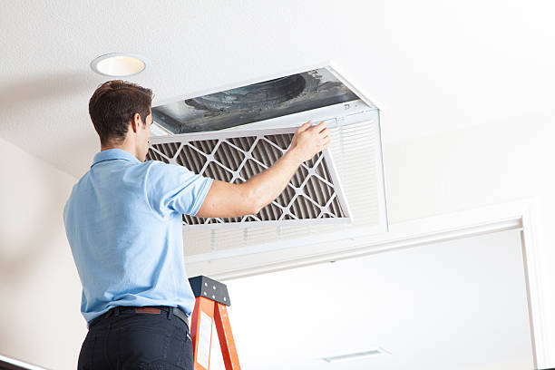 Best Air Filters and Purifiers in Edinboro, PA